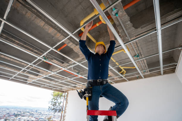 Best Plumbing Inspection Services  in Clinton, MS